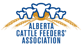 Alberta Cattle Feeders Association